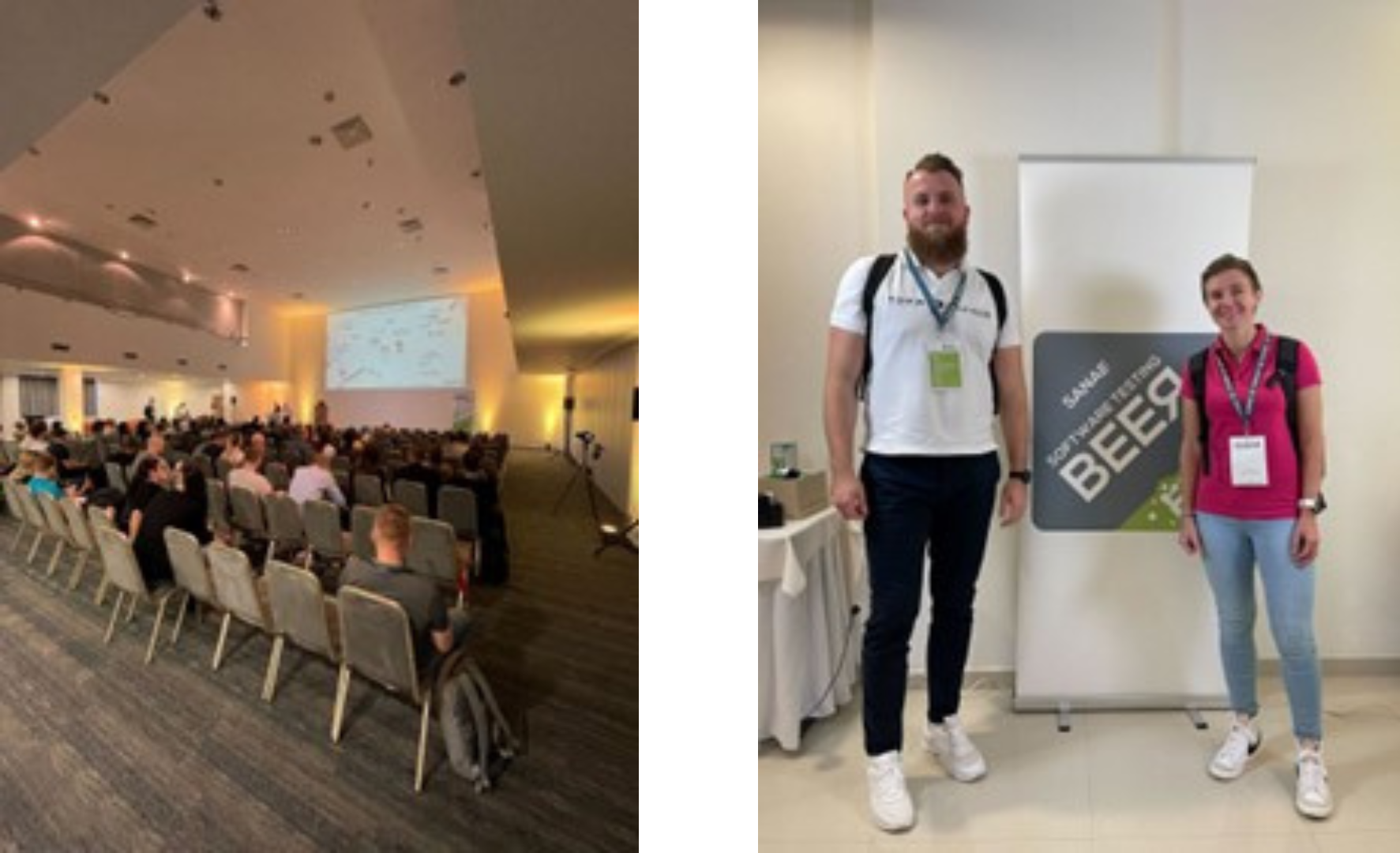 SANAE Software Testing BEER